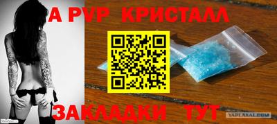 шишки Можга