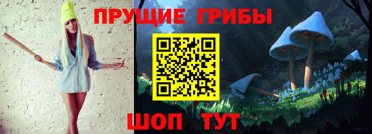 Галлюциногенные грибы Psilocybine cubensis Унеча