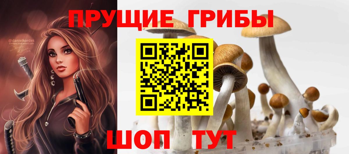 Псилоцибиновые грибы мицелий  Псилоцибиновые грибы мухоморы  Вход с VPN  Унеча 